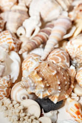 Similar image 2682162