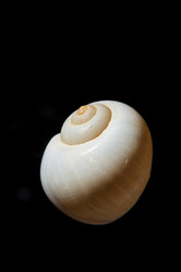 Similar image 2682163