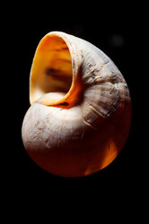 Similar image 2682171