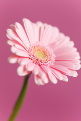 Similar image 2682190