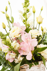 Similar image 2682191