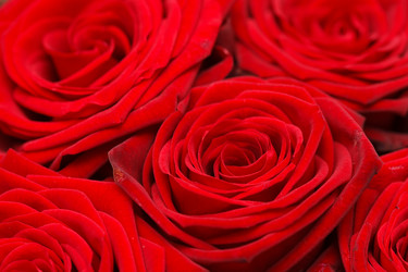 Similar image 2682194