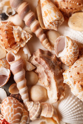 Similar image 2682200