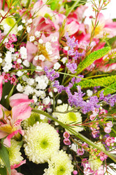 Similar image 2682247