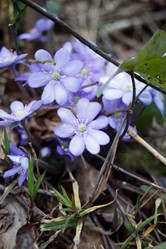 Similar image 2682254