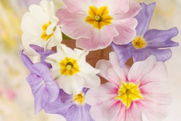 Similar image 2682291