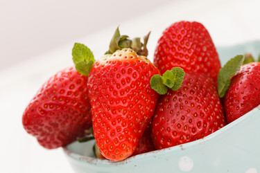 Similar image 2682295