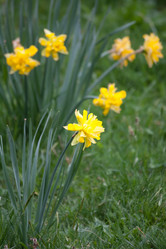 Similar image 2682314