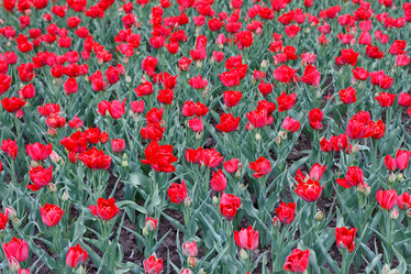 Similar image 2682315