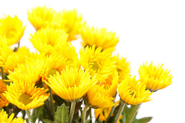 Similar image 2682373