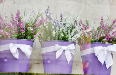 Similar image 2682377