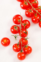 Similar image 2682378