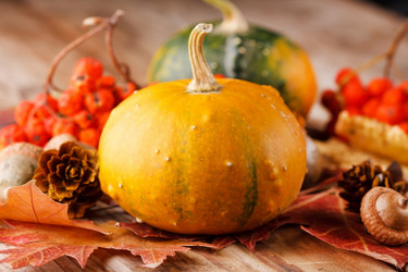 Similar image 2682401