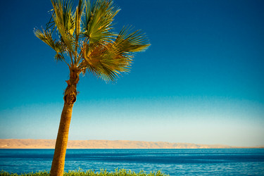 Similar image 2682402