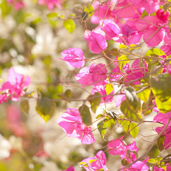 Similar image 2682404