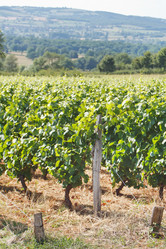 Similar image 2682405