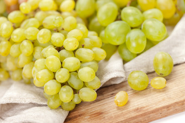 Similar image 2682413