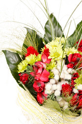 Similar image 2682428