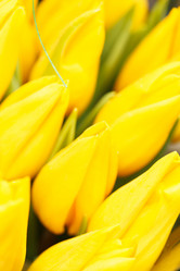 Similar image 2682436