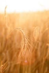 Similar image 2682437