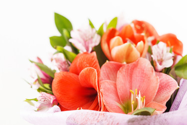 Similar image 2682439