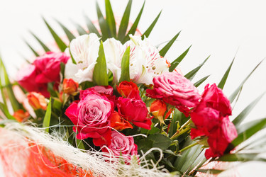 Similar image 2682440