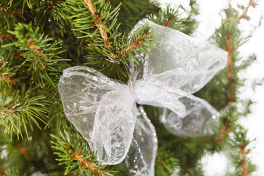 Similar image 2682448