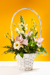 Similar image 2682449