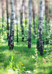 Similar image 2682460