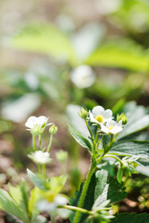 Similar image 2682463