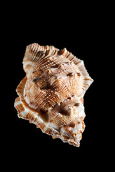 Similar image 2682506