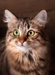 Similar image 2682528