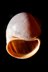 Similar image 2682533