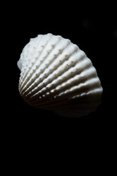 Similar image 2682535