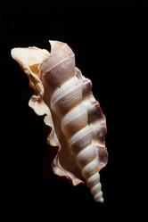 Similar image 2682537