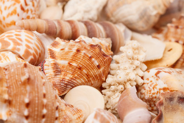 Similar image 2682538