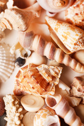 Similar image 2682541