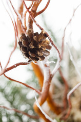 Similar image 2682593