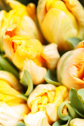 Similar image 2682595