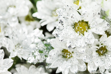 Similar image 2682597