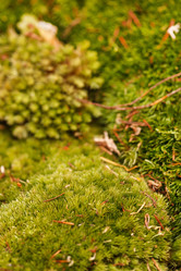 Similar image 2682601