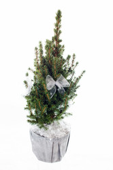 Similar image 2682604