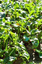 Similar image 2682614