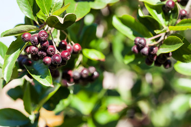 Similar image 2682616