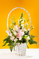 Similar image 2682618