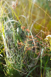 Similar image 2682619