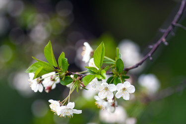 Similar image 2684011