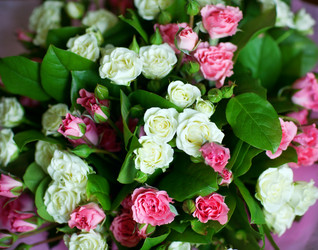 Similar image 2684014