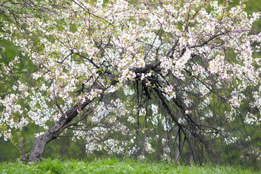 Similar image 2684019