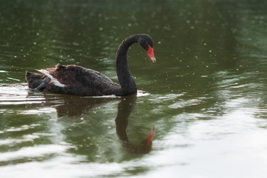 Similar image 2684102